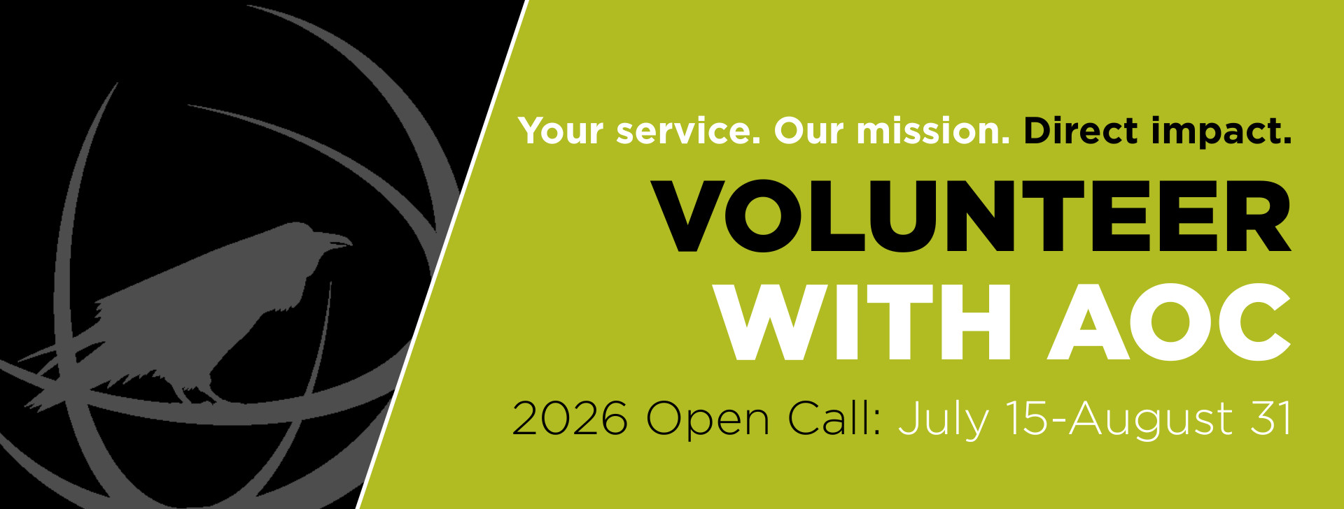 2025 Call for Volunteers_Large Banner
